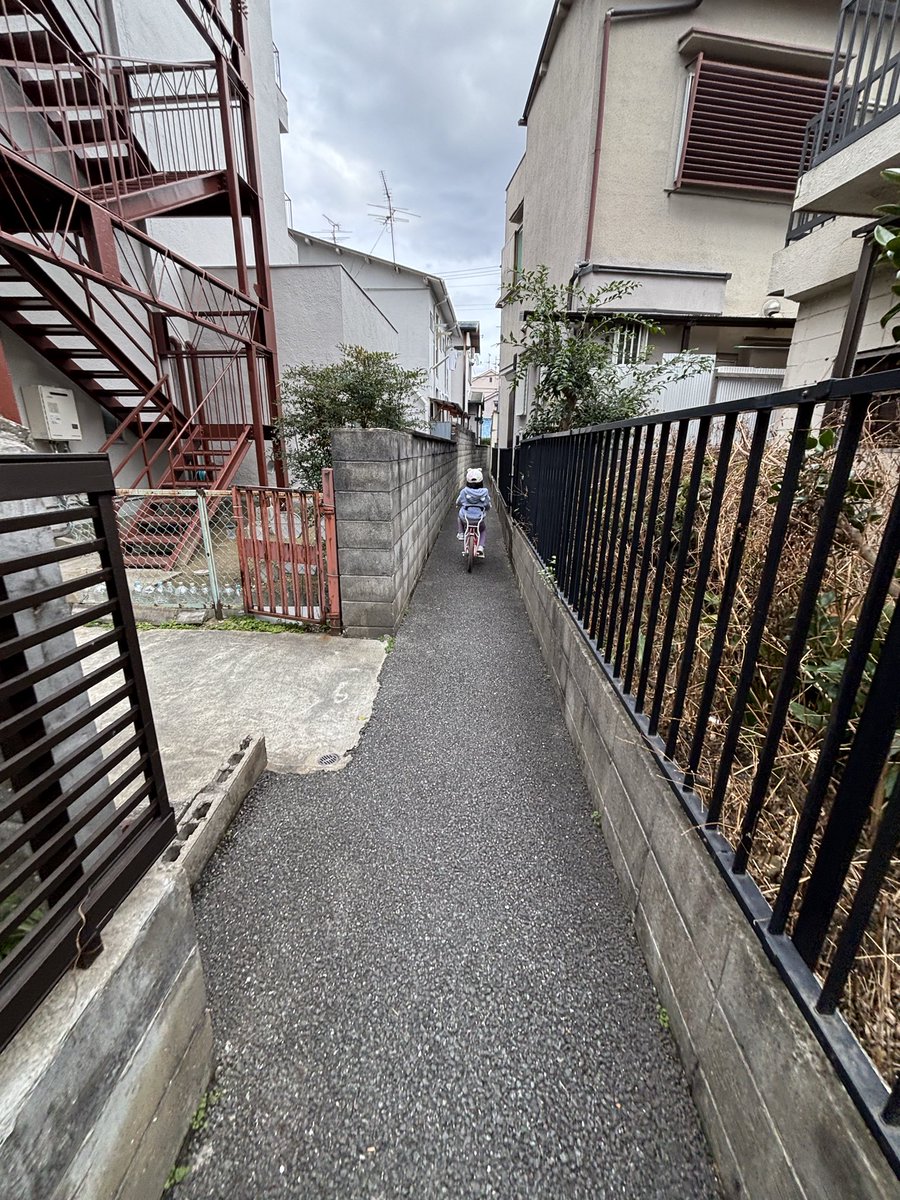 鈴木美由樹𓇼 tweet media