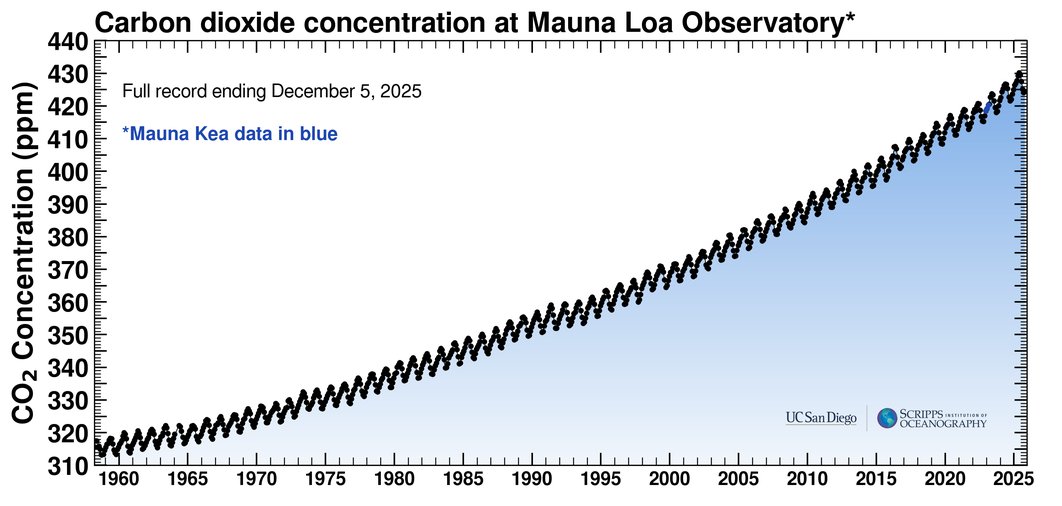 Old Windbag 💉 tweet media