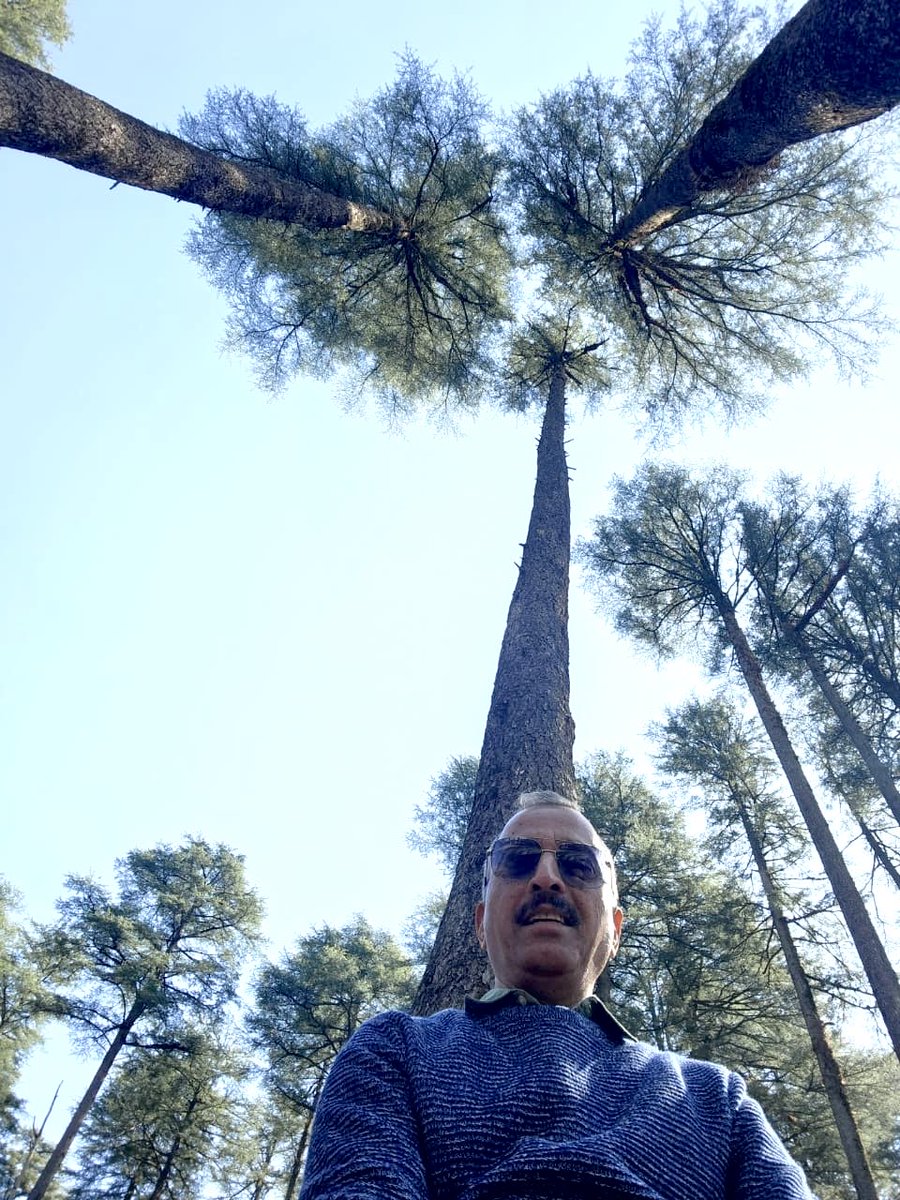 Mohan Pargaien IFS🇮🇳 tweet media