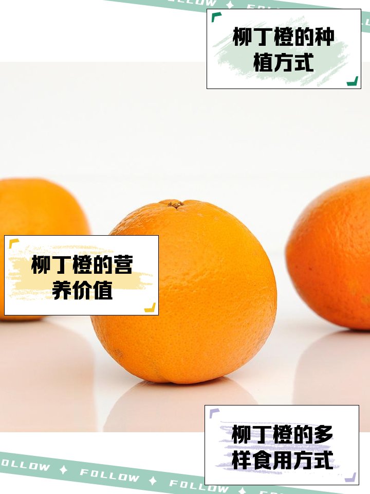 yvette calderon tweet media