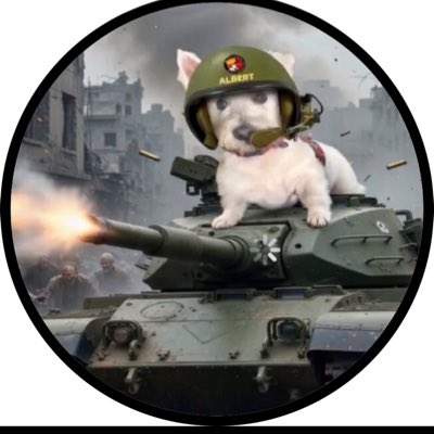 Albert the westie tweet media