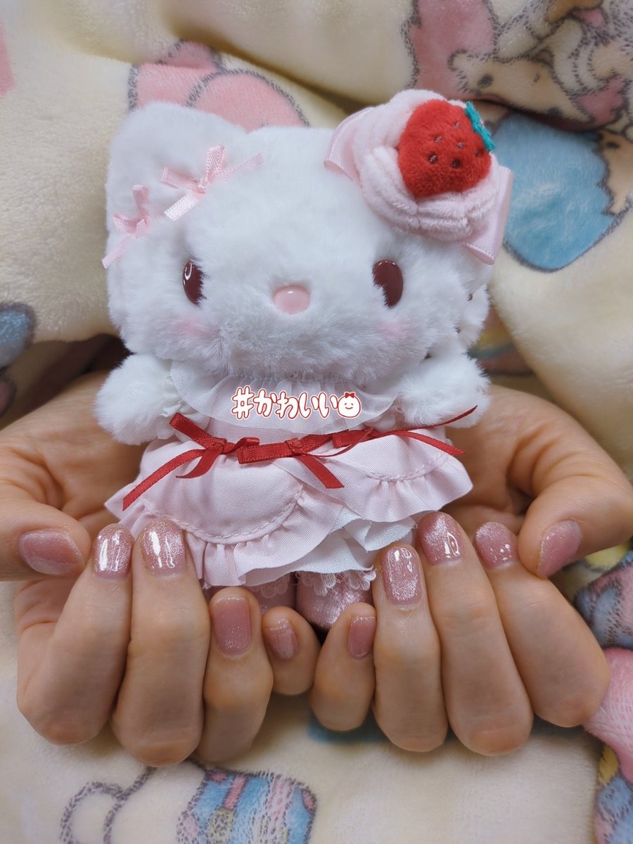 あずにゃん🎀あしえラの姉 tweet media