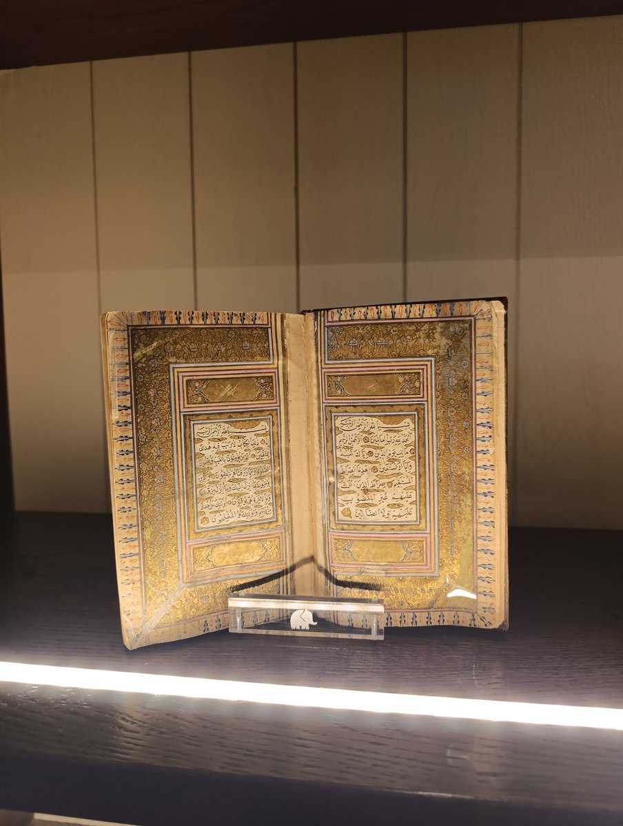 TunahanGül1844 tweet media