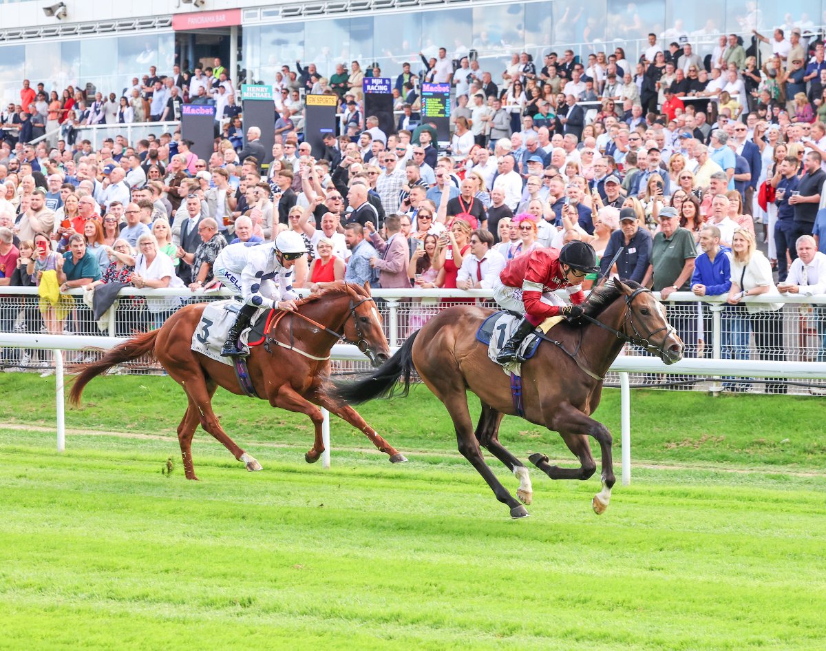 Hamilton Park tweet media