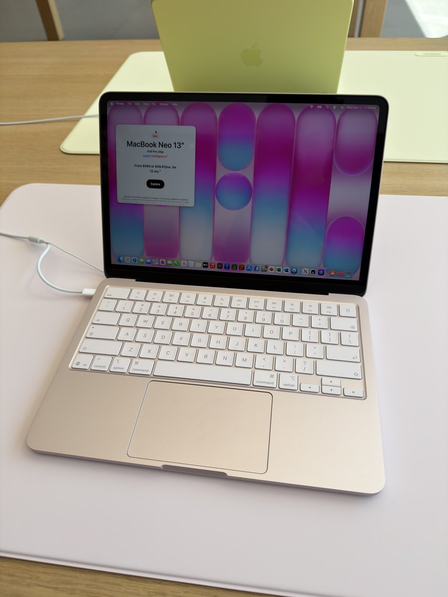 generothegreat1's tweet photo. 2026 MacBook Neo available for preorder in these Colors Indigo Blush Citrus Silver Send a dm for inquiries https://t.co/YhujnlnV8Q