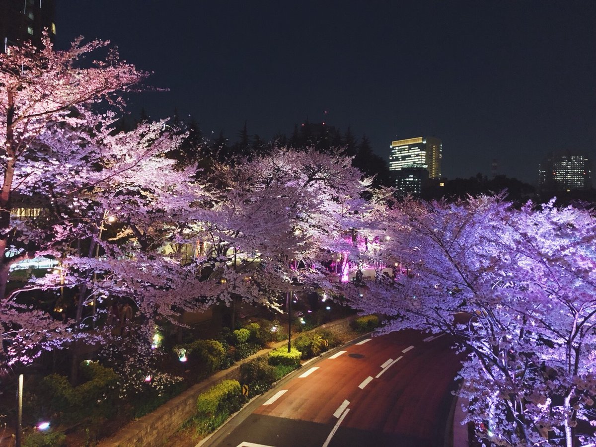 びゅうたび【列車旅/旅行のお役立ち情報🚃】 tweet media