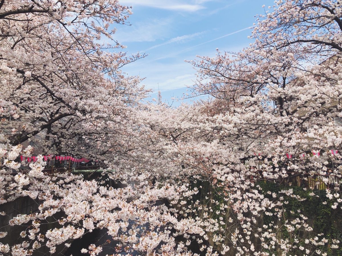 びゅうたび【列車旅/旅行のお役立ち情報🚃】 tweet media