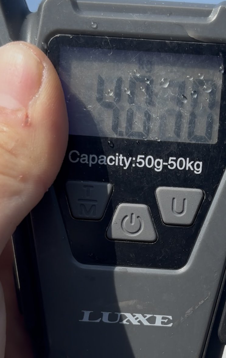 ®️ade tweet media