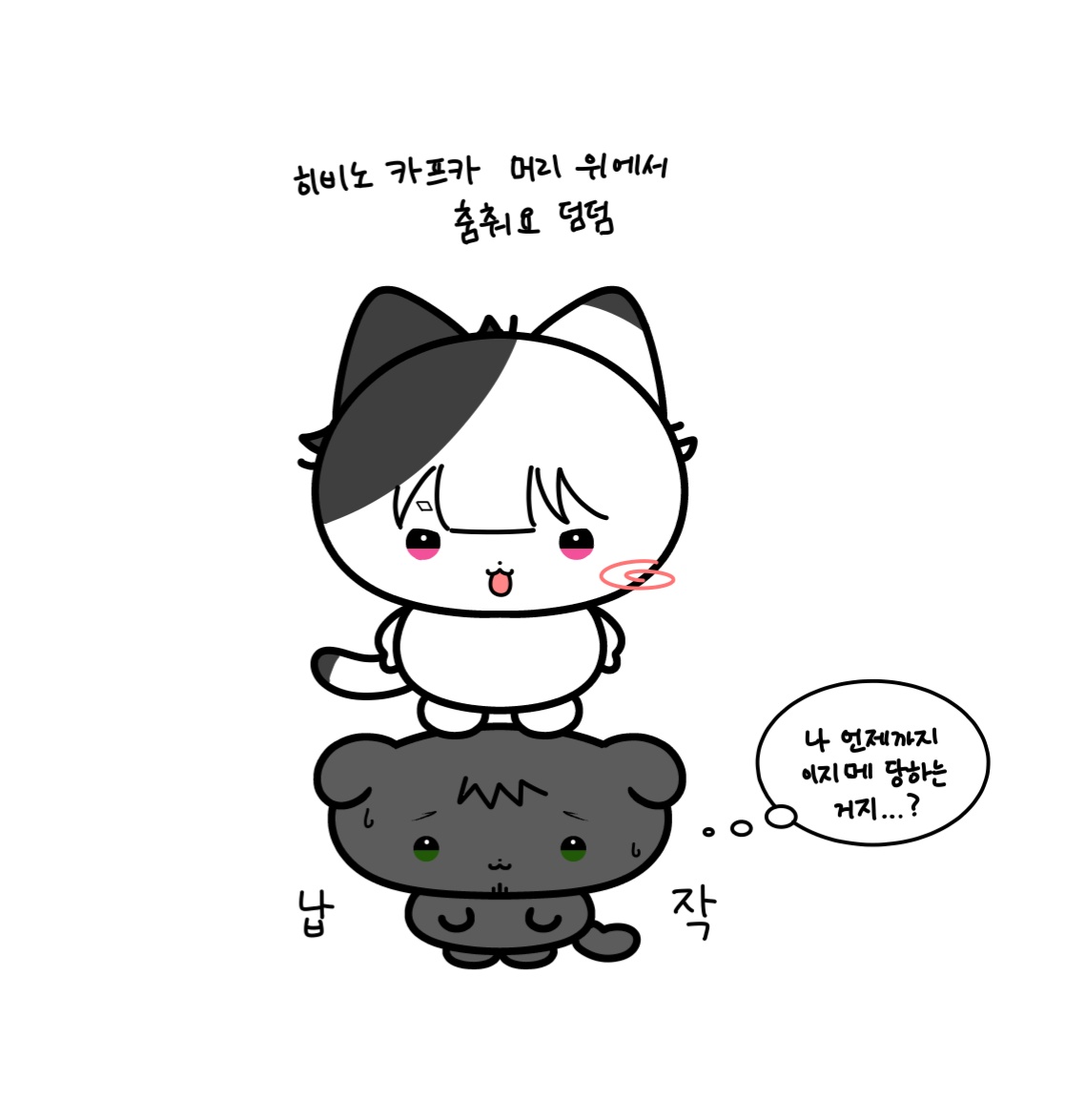 카사(カサ) tweet media