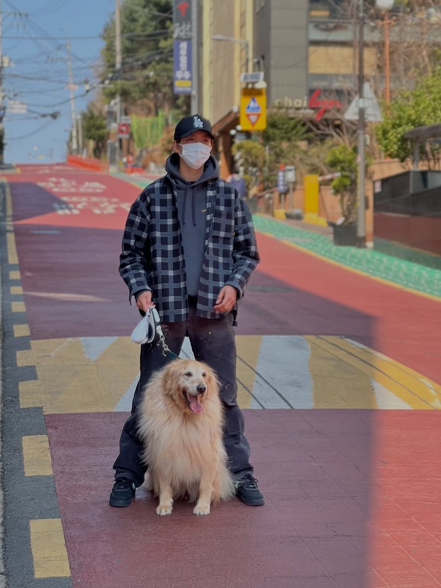 Majolie. tweet media