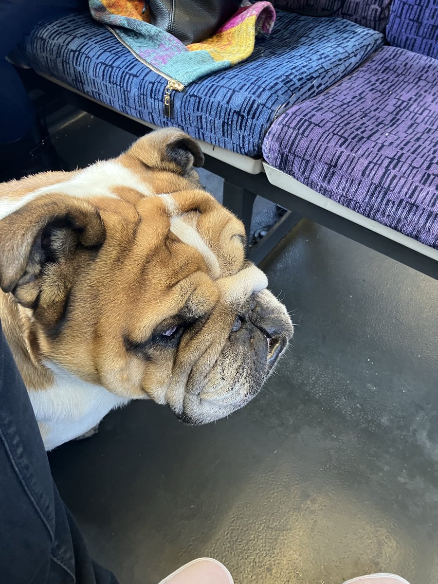 Sir Sidney James Tappenden tweet media