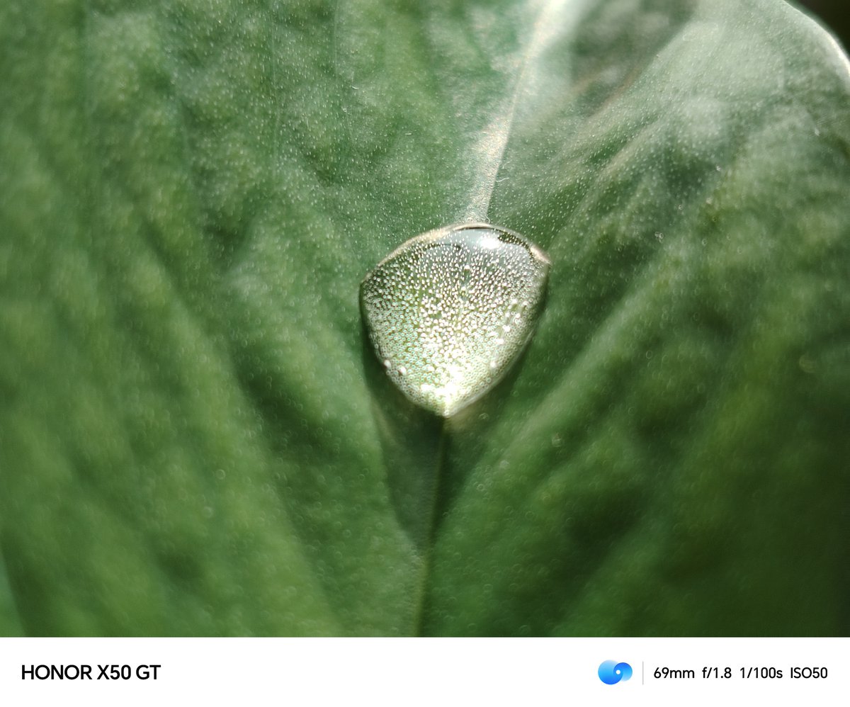 RAJENDRA SHARMA tweet media