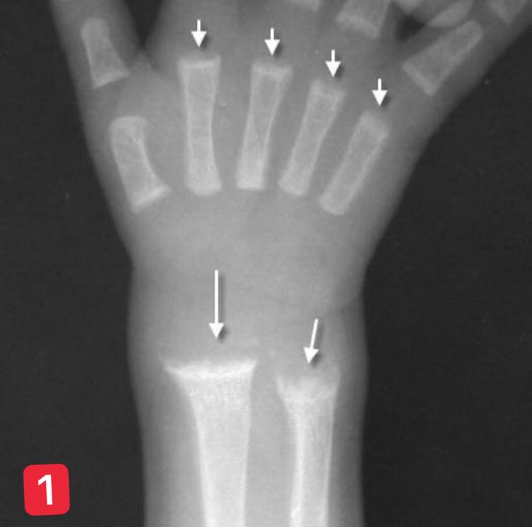 Dr Ihab Suliman tweet media