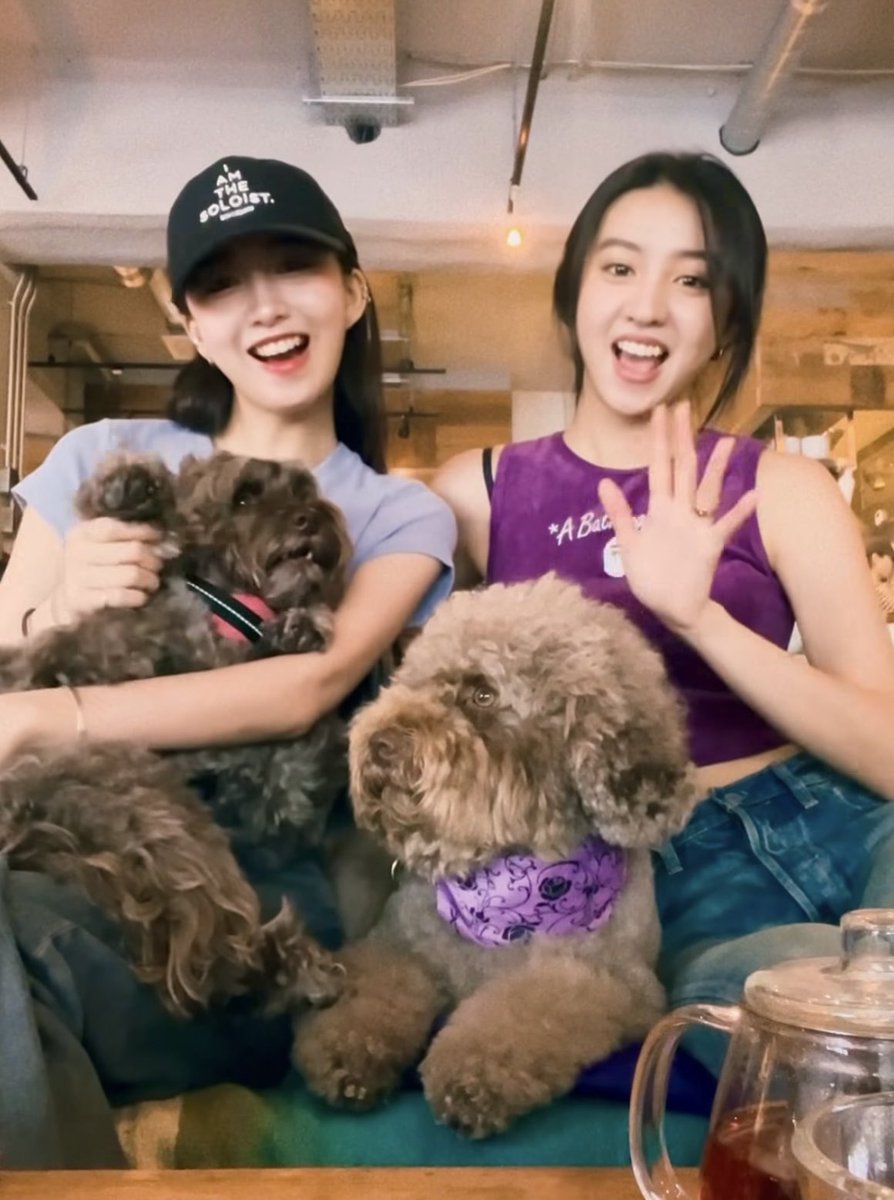 ぽいぽい tweet media