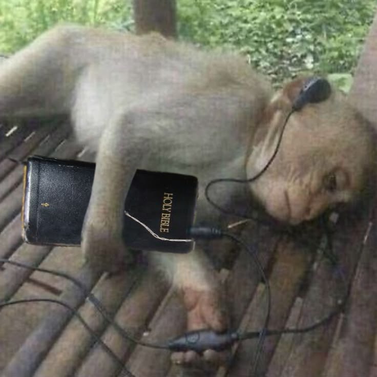 Na only God fit save me from wetin dey do me.