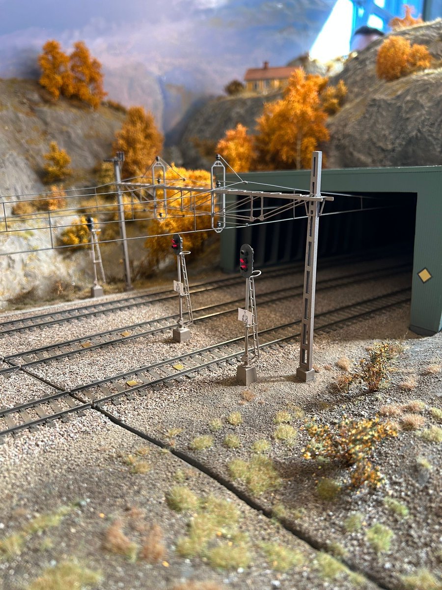 Signal of the Day 🚦🚥🚂 tweet media