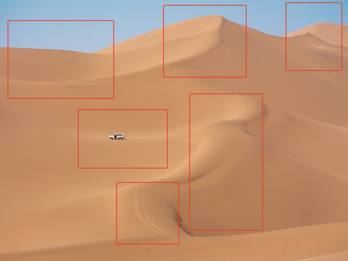 Bea Mealing tweet media