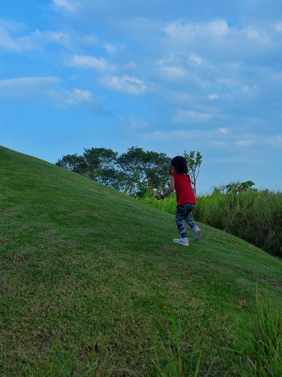 Monkeys Dev tweet media