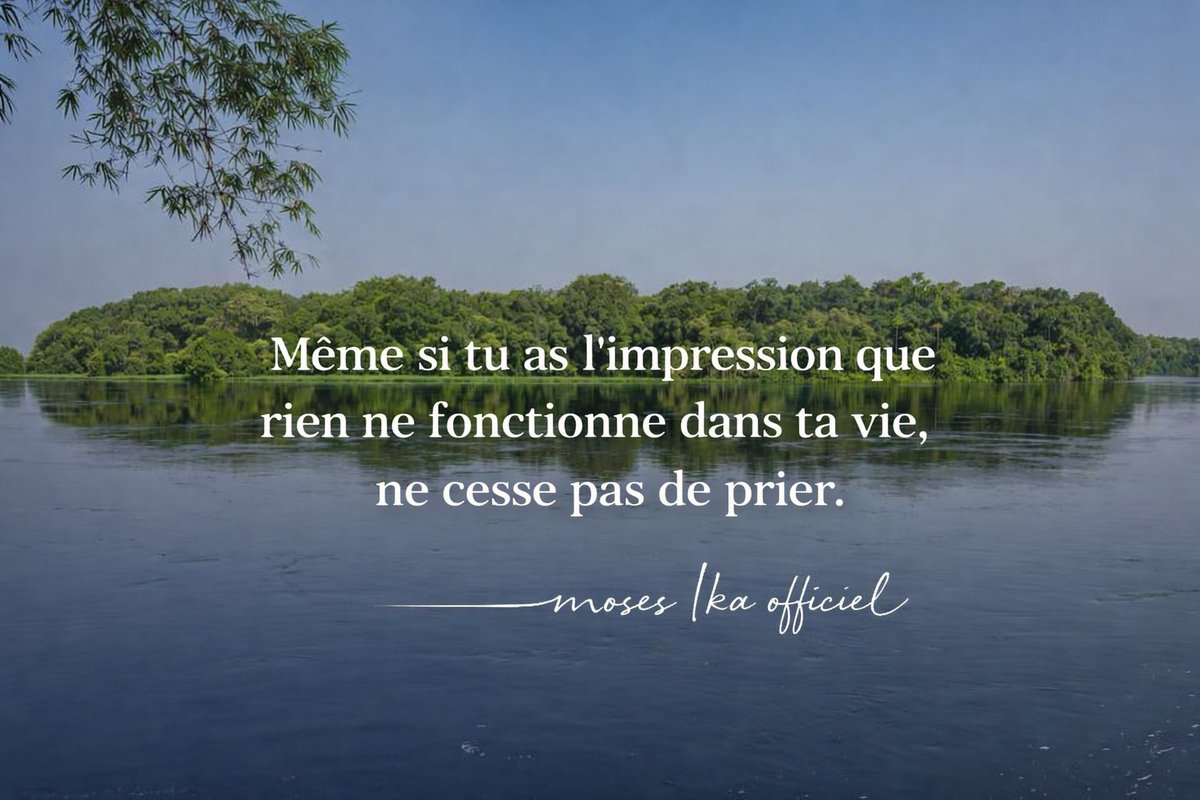 mosesika🫆 tweet media