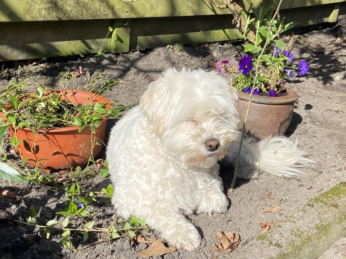 Truthraider tweet media