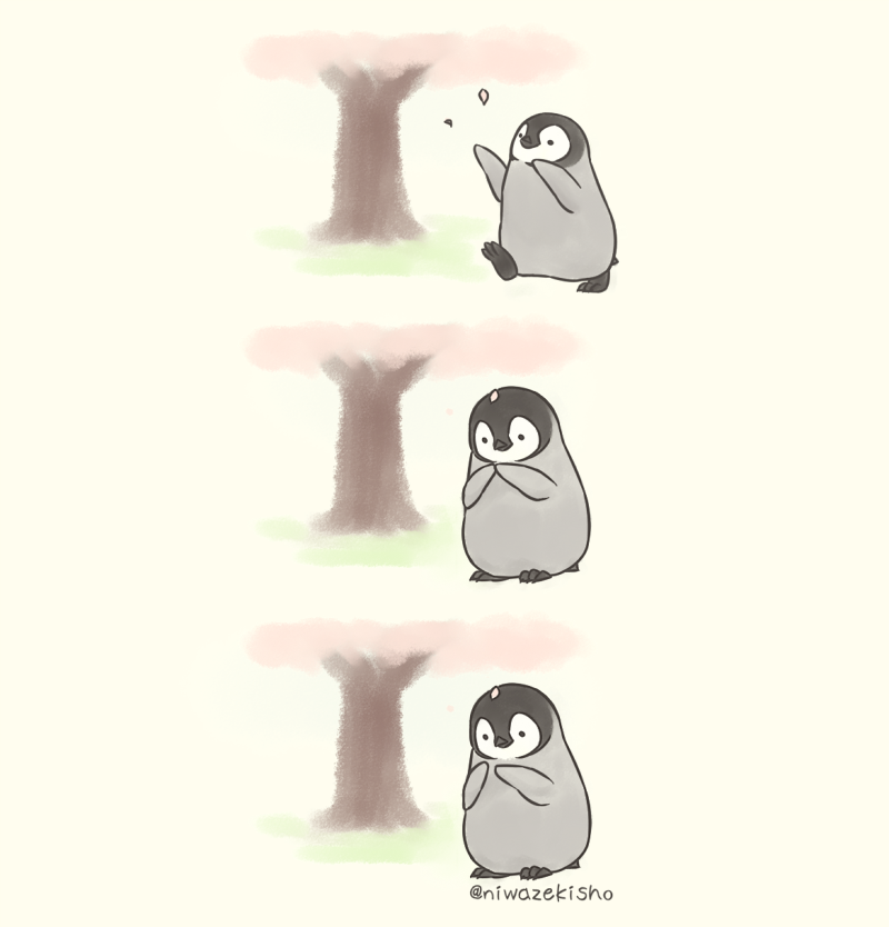 しば (@niwazekisho) / Posts / X
