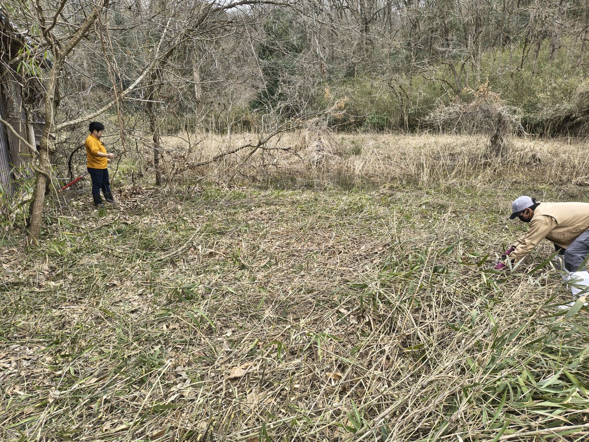 小宮 春平(湿地帯を管理する人) tweet media