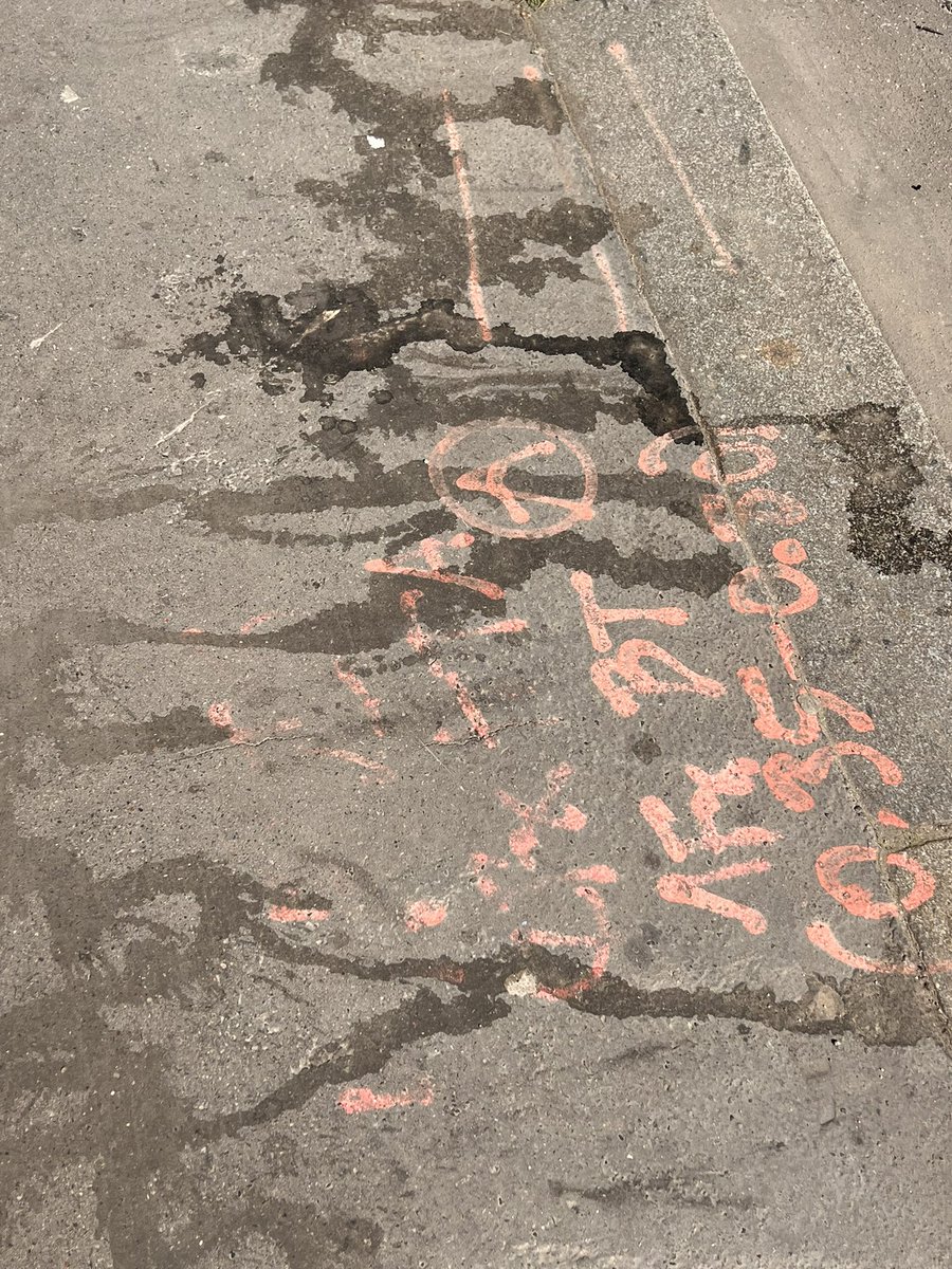 OliverTweete 🦊 tweet media