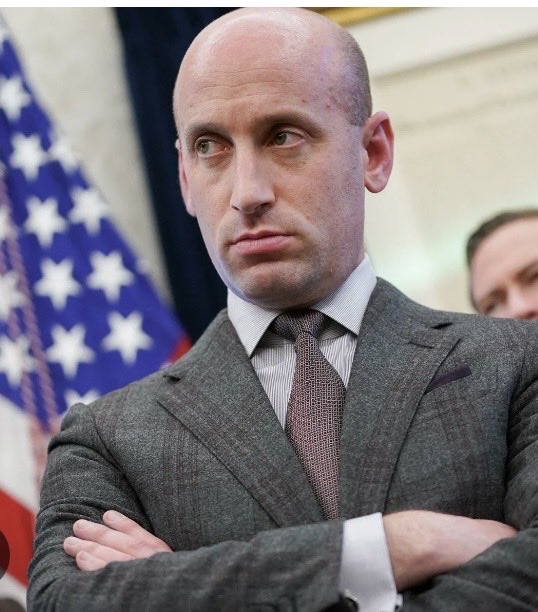 Suzie rizzio tweet media