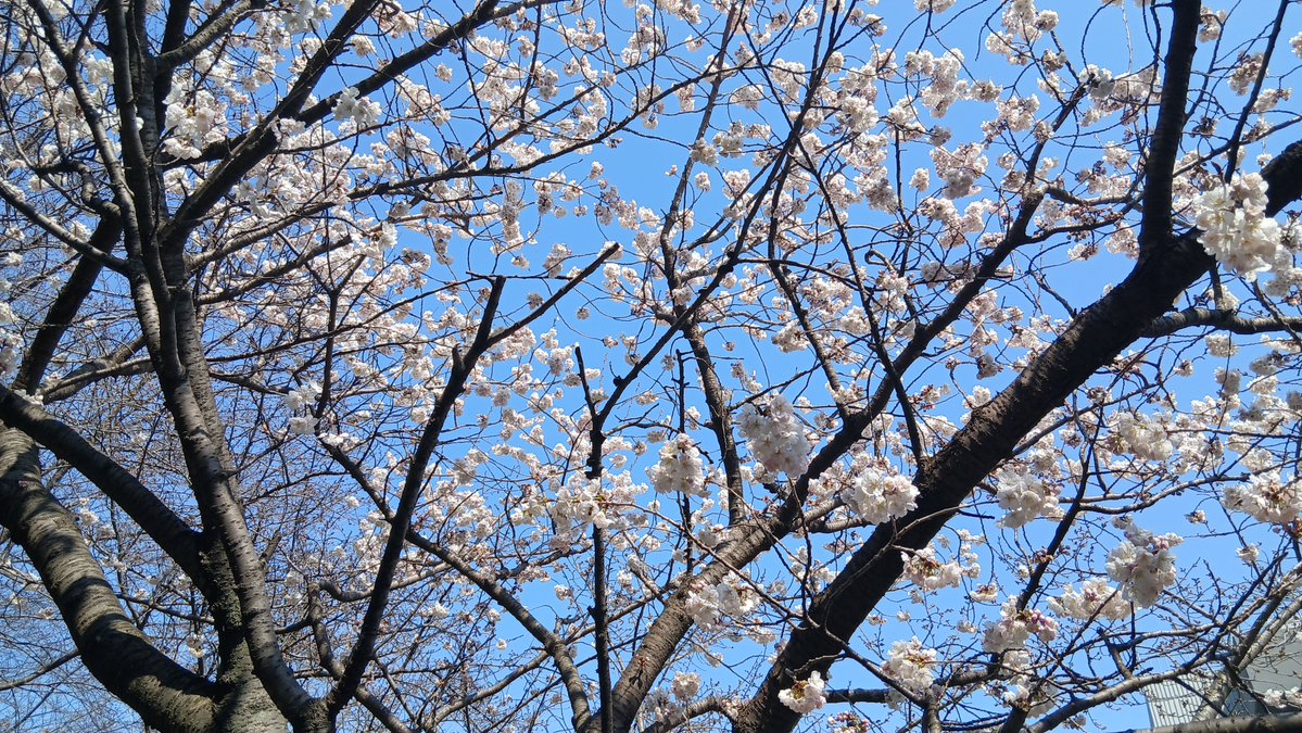 친노문파DJ노통문프연프 tweet media