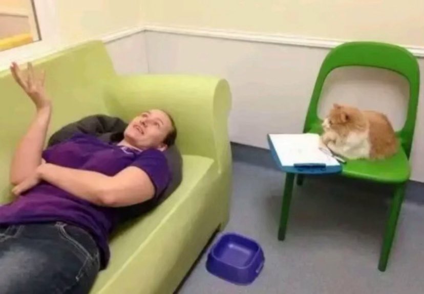 primaRie, FRPh🍄 tweet media