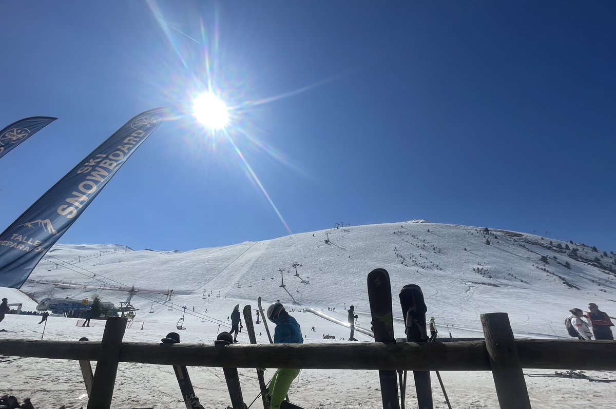 María Cheda tweet media