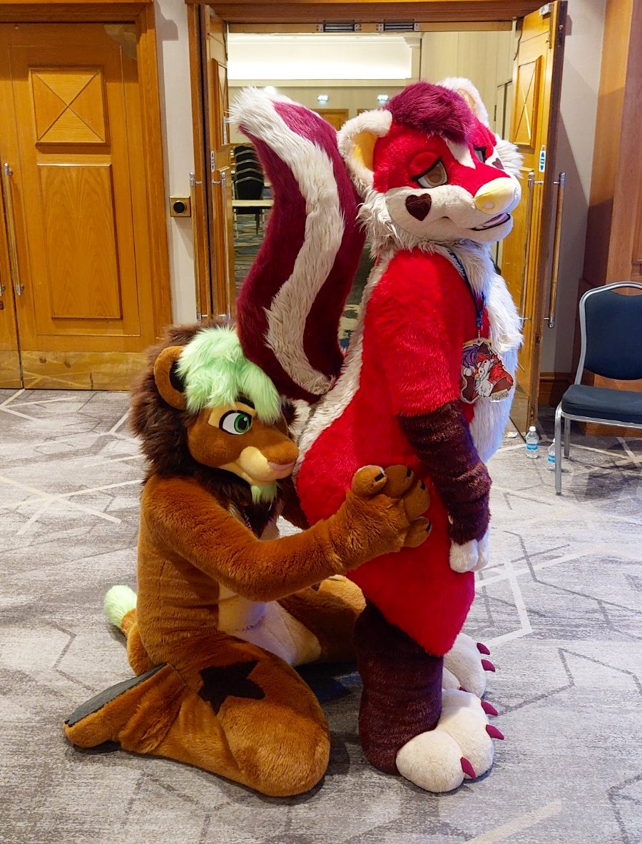 Skunkpaw 🦨 🖤🩶🤍💜 🦨 tweet media