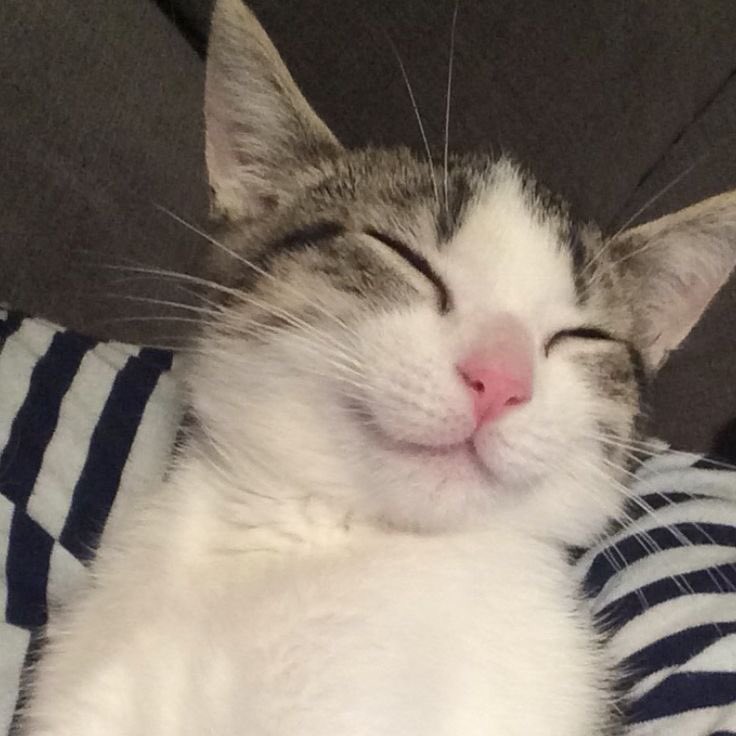 lena | 76 DAYS tweet media