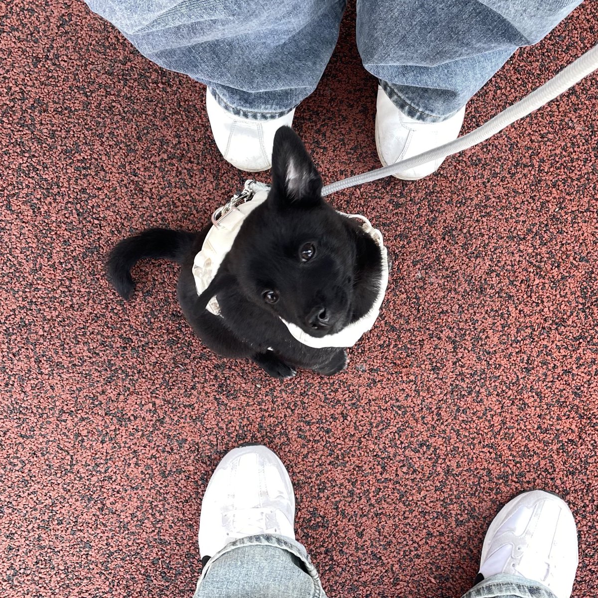 알베르 까뮈 tweet media