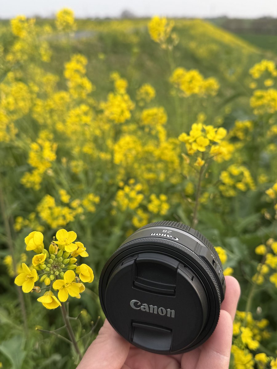 ばっしぃー tweet media