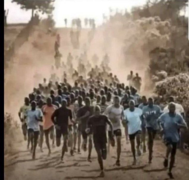 Williard tweet media