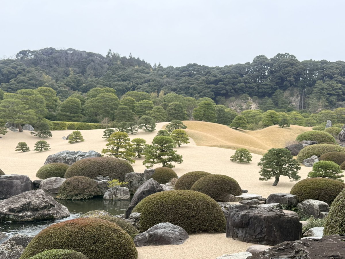 ナスダッ子®️🇺🇸ブレずにイノベーション応援投資 tweet media