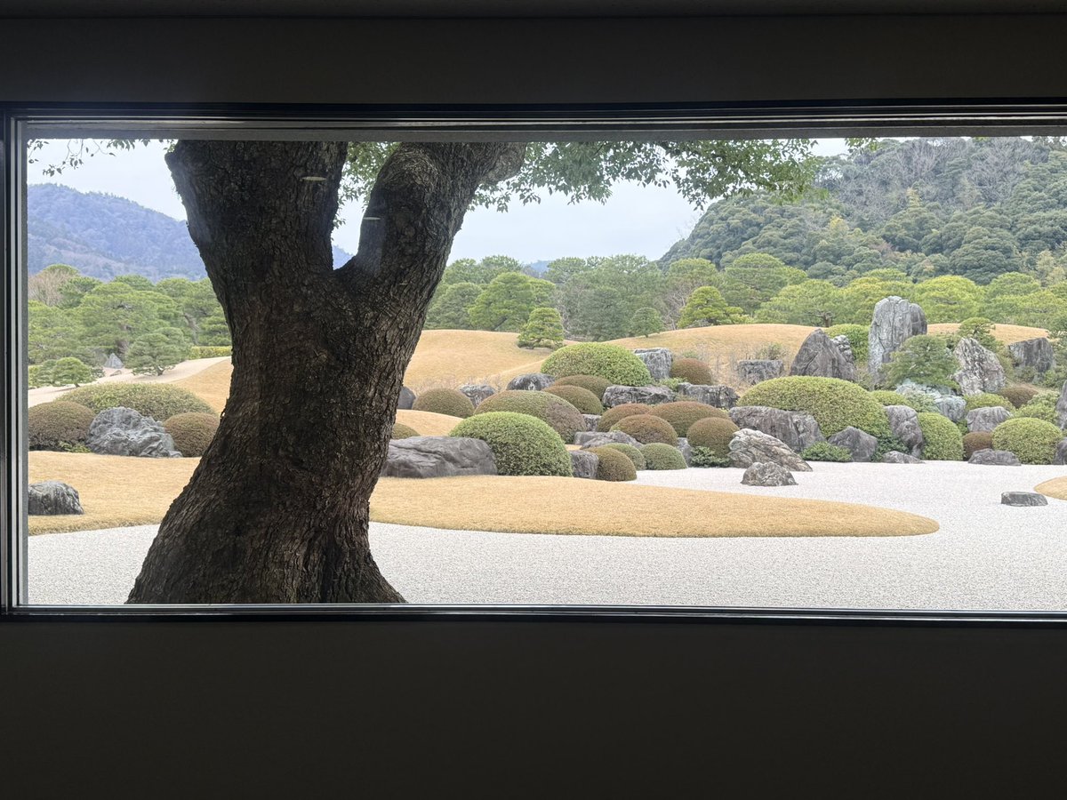 ナスダッ子®️🇺🇸ブレずにイノベーション応援投資 tweet media