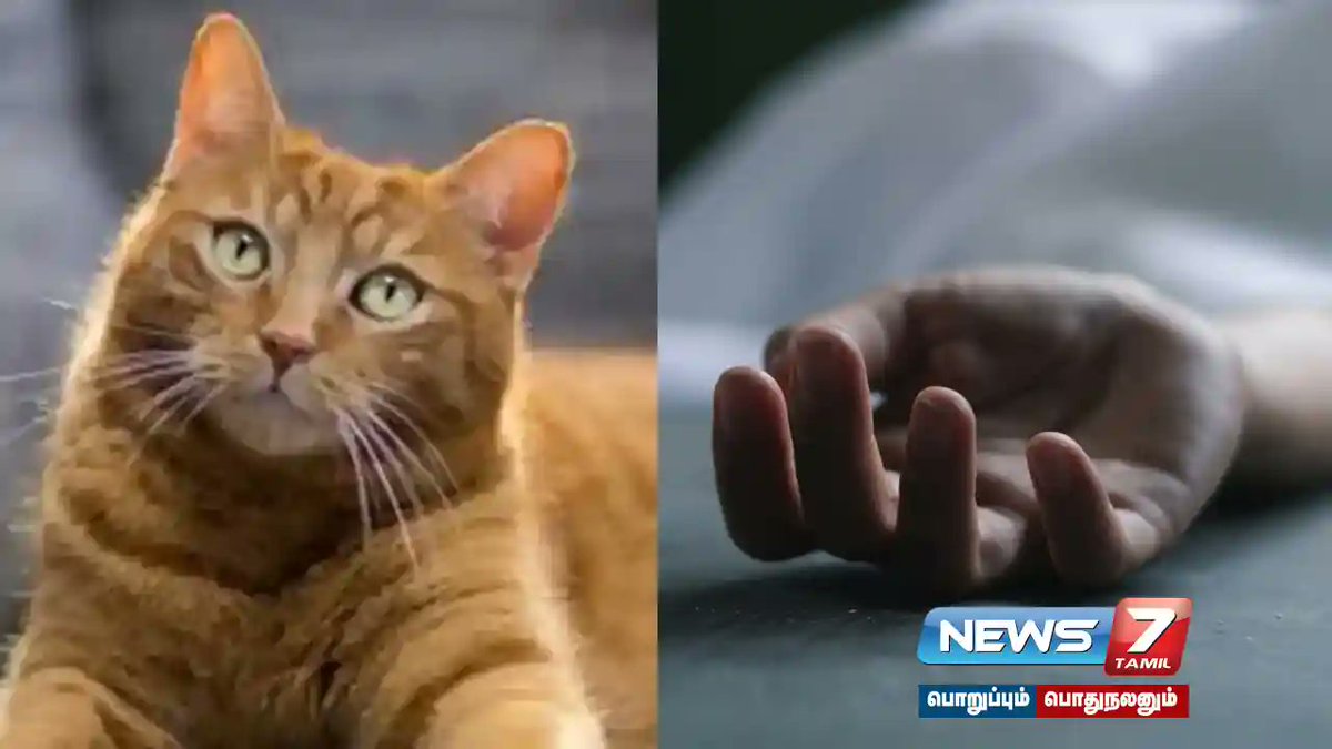 news7tamil's tweet image. வீட்டில் பூனை வளர்க்க எதிர்ப்பு தெரிவித்த குடும்பத்தினர் ; இளம்பெண் தற்கொலை…….!

விவரம் :tinyurl.com/4yumu8bu

#medicalgraduate | #suicide | #cat | #Hyderabad | #IndiaNews | #latestNews