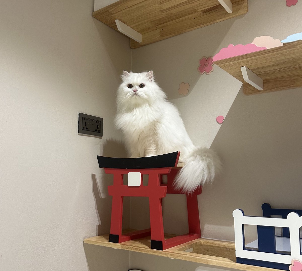 นีนี่ฮุนฮุนเป็นน้องพี่หมี🐻🐱 tweet media