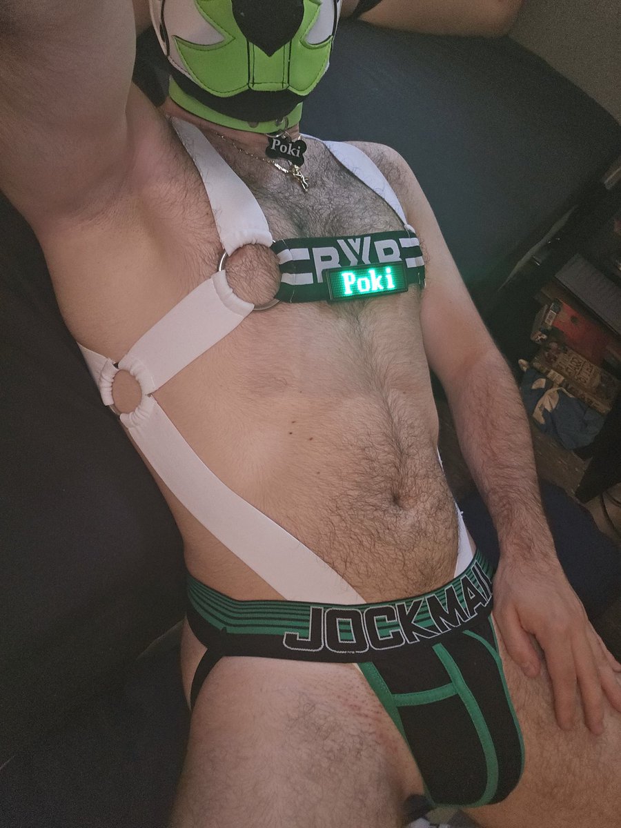 Pup Poki 💚 tweet media