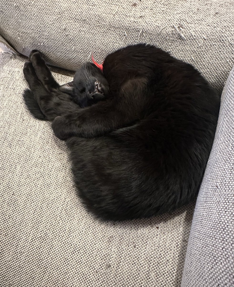 Md11Test's tweet photo. なんかのポーズに似てるなと思ったらこれだ。 https://t.co/FSNrS2o59E