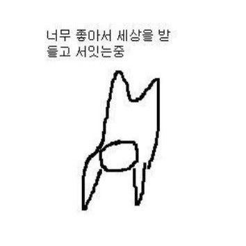 아모레 tweet media