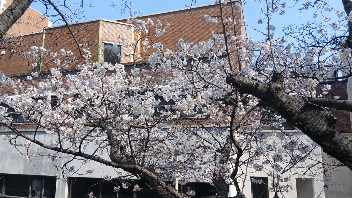 친노문파DJ노통문프연프 tweet media