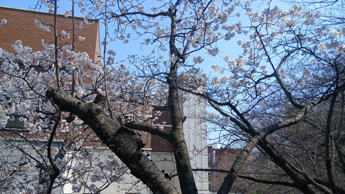 친노문파DJ노통문프연프 tweet media