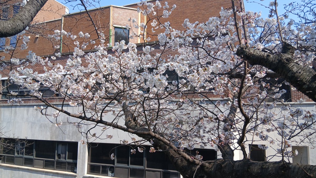 친노문파DJ노통문프연프 tweet media