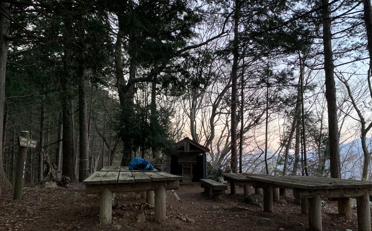 ウサギパンチ tweet media