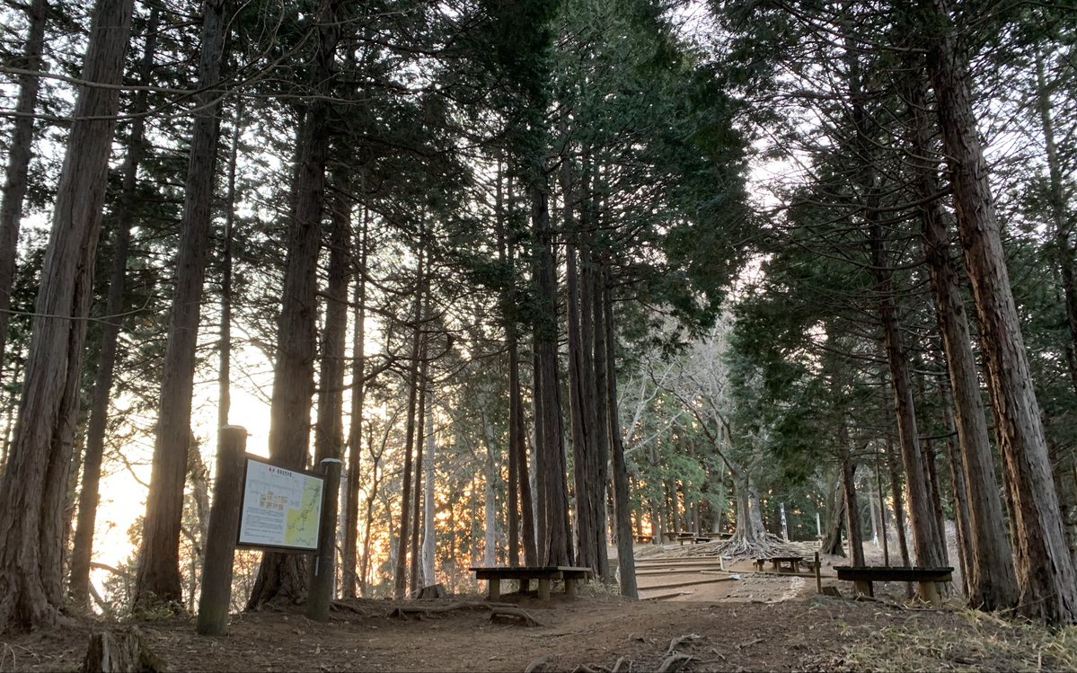 ウサギパンチ tweet media