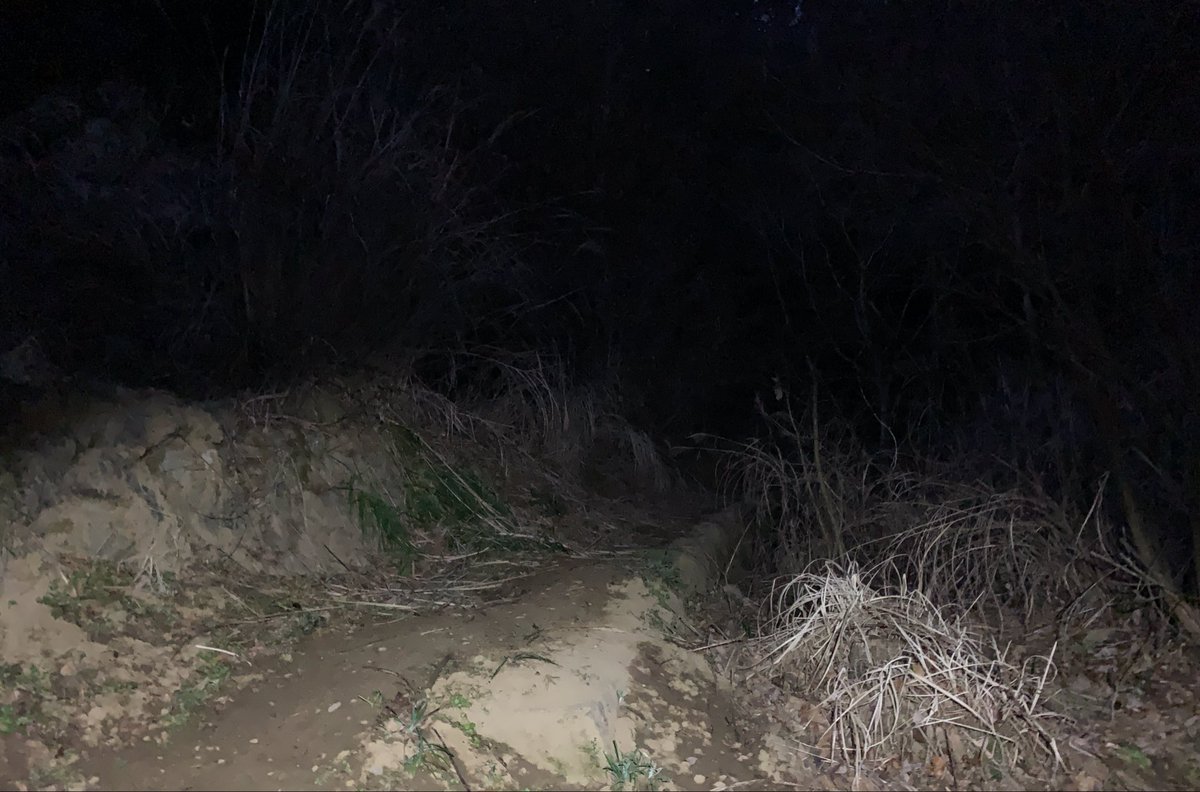 ウサギパンチ tweet media