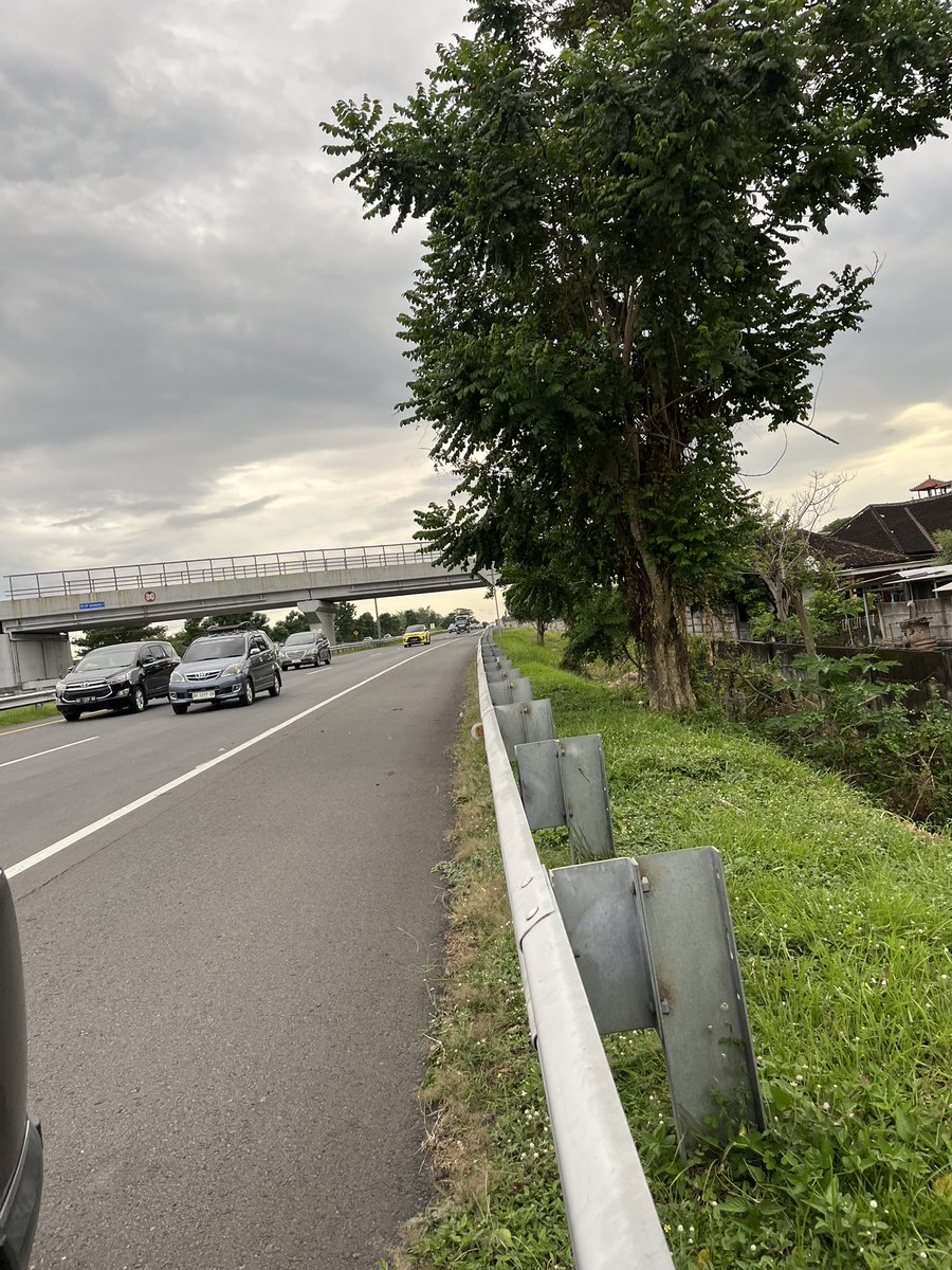 powy 𓆏 tweet media